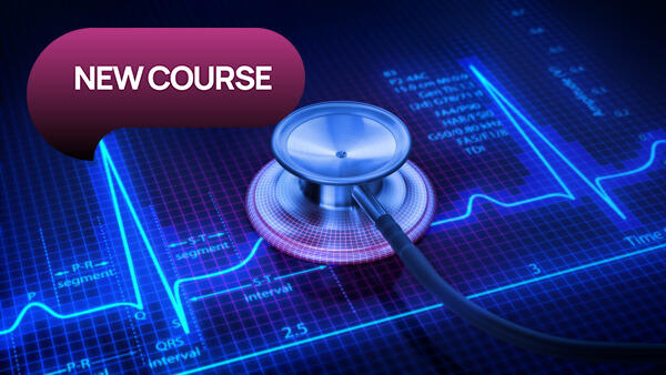 SQL (Structured Query Language) for Counter Fraud Investigators